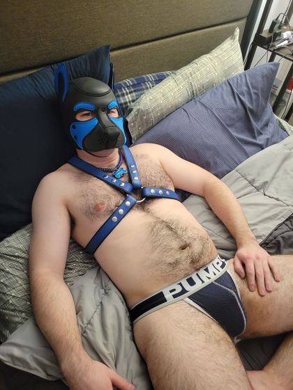 pup_patch OnlyFans picture