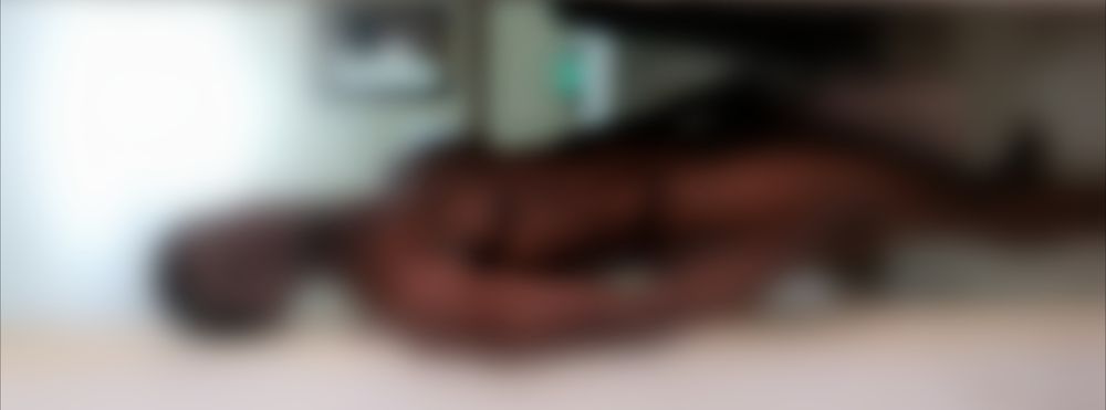 negro_101 OnlyFans profile picture