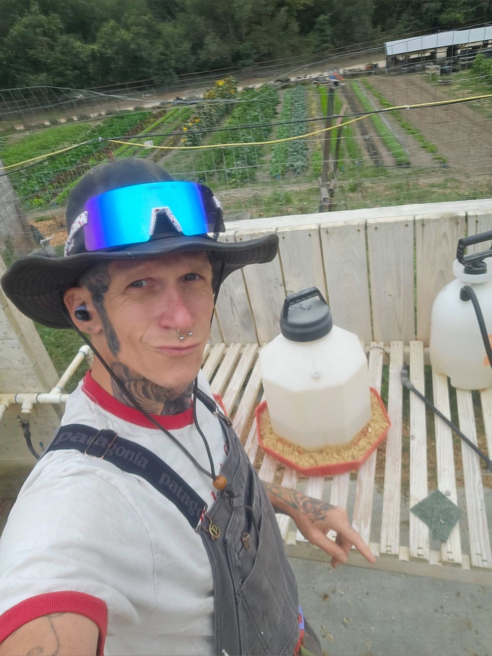 himynameishomer OnlyFans profile picture