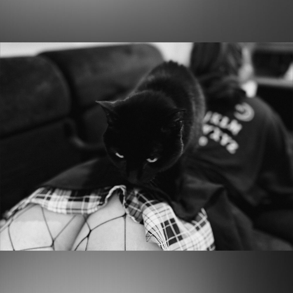 sittinkitty OnlyFans profile picture