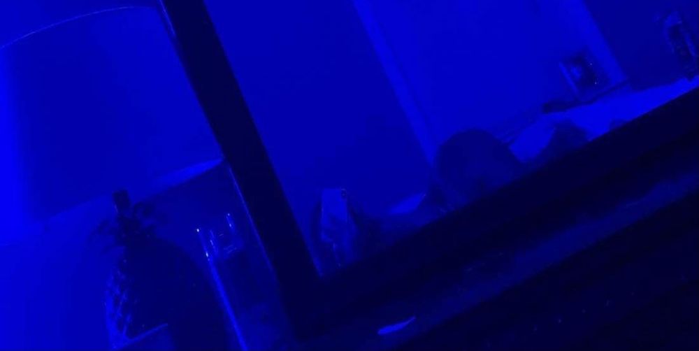kvarna OnlyFans profile picture