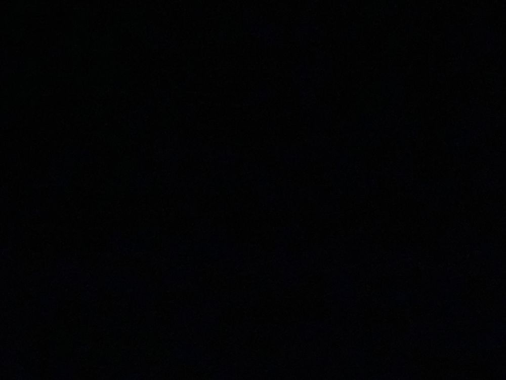 taylport OnlyFans profile picture
