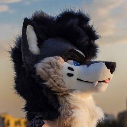 palacewolf OnlyFans picture