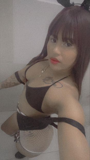 la perrita onlines