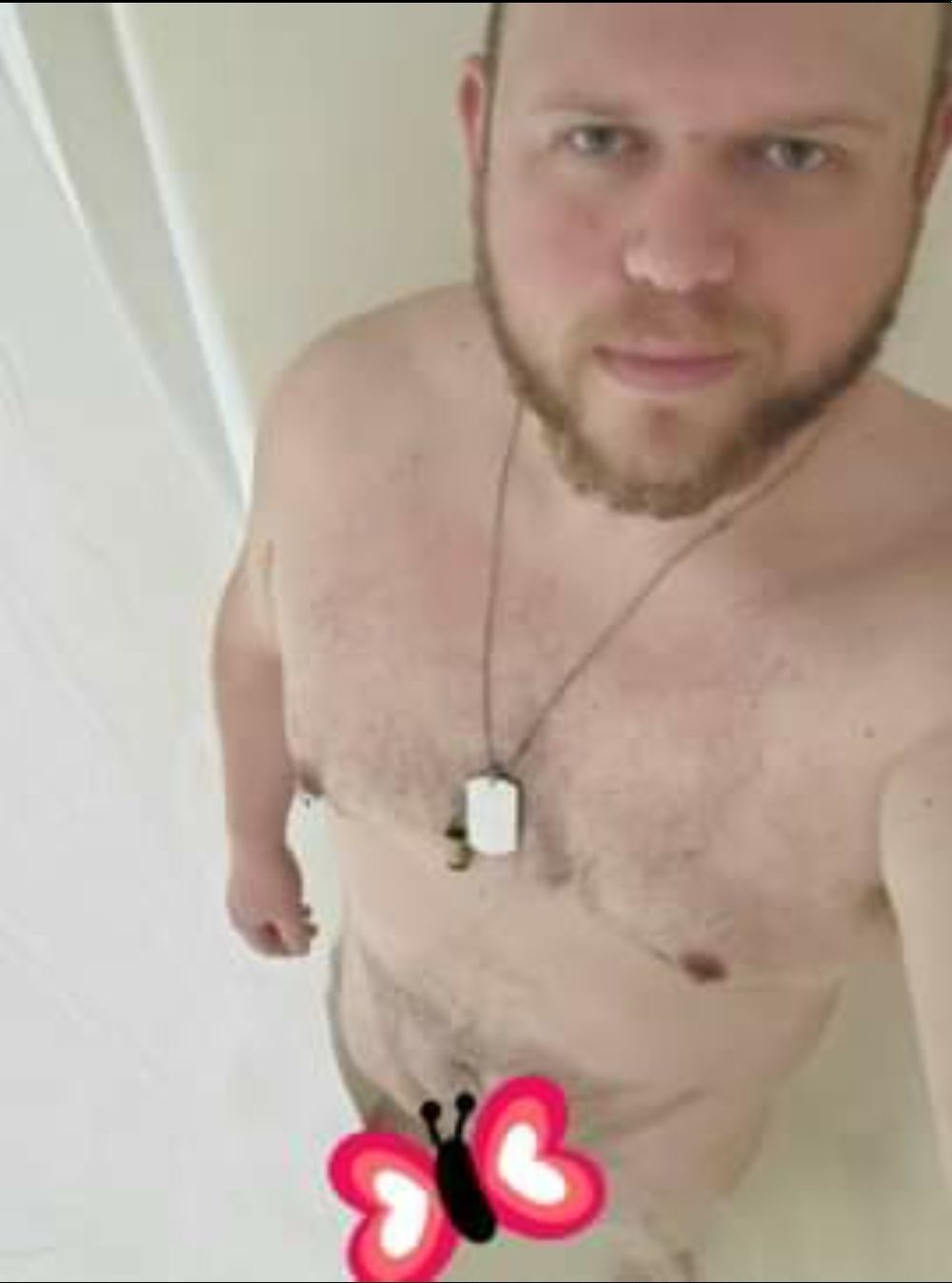 car_meister OnlyFans profile picture