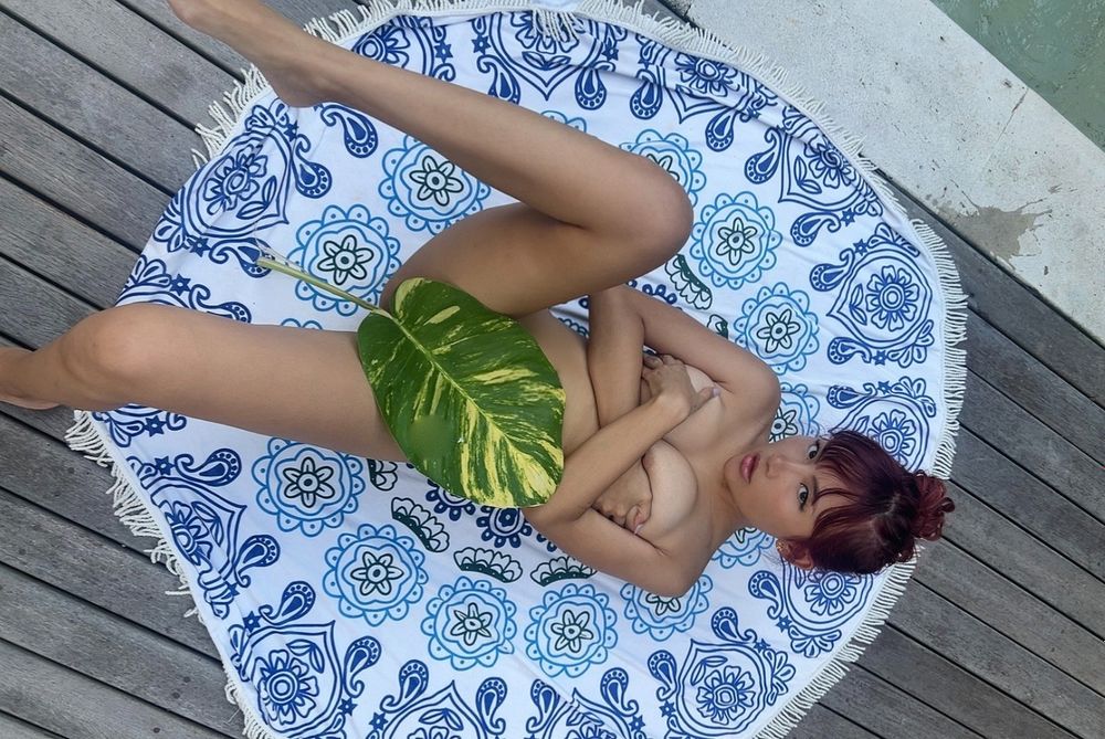 coco-lu OnlyFans profile picture