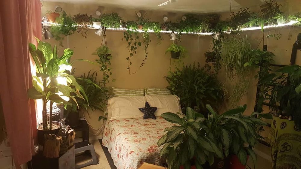 plantlover82 OnlyFans profile picture