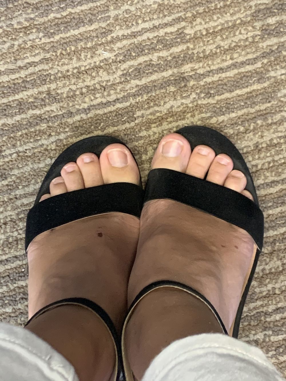 jennajello OnlyFans profile picture