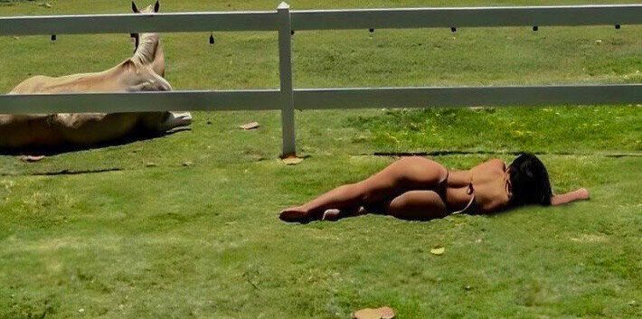 breezeanabelle OnlyFans profile picture