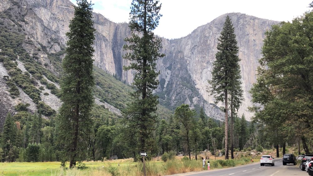 thickandabitch OnlyFans profile picture