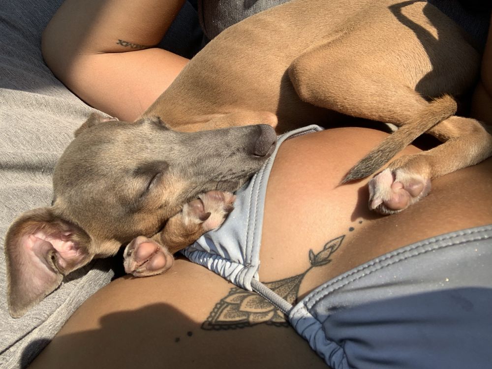 tys_88 OnlyFans profile picture