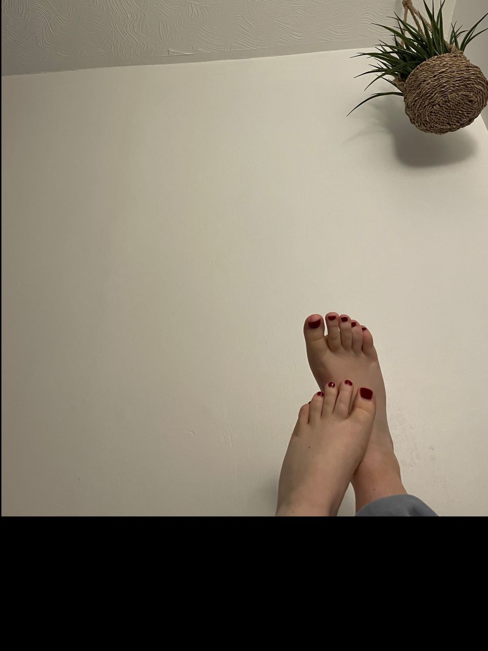 feetforeversc OnlyFans profile picture