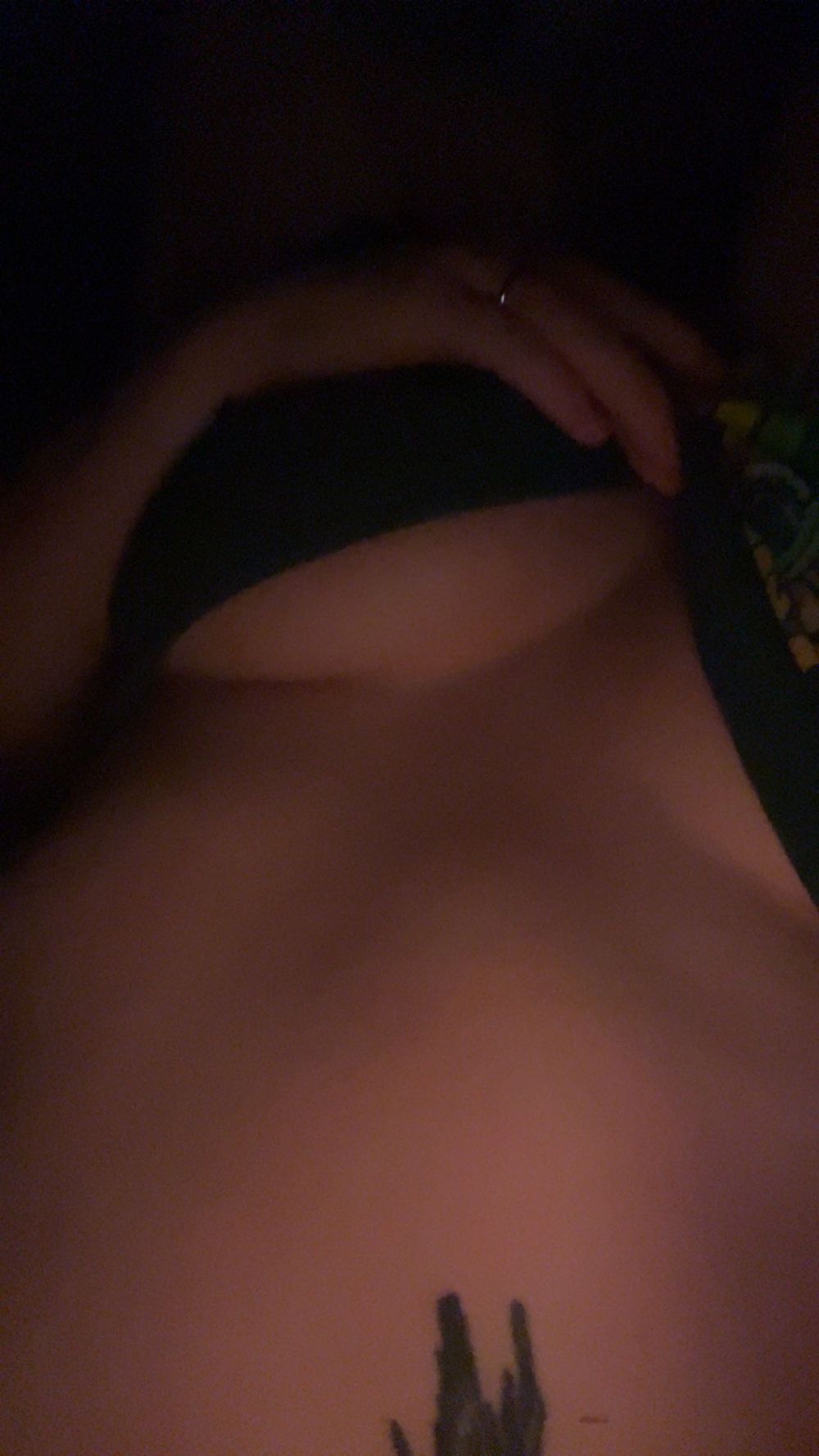 bambisbaby OnlyFans profile picture