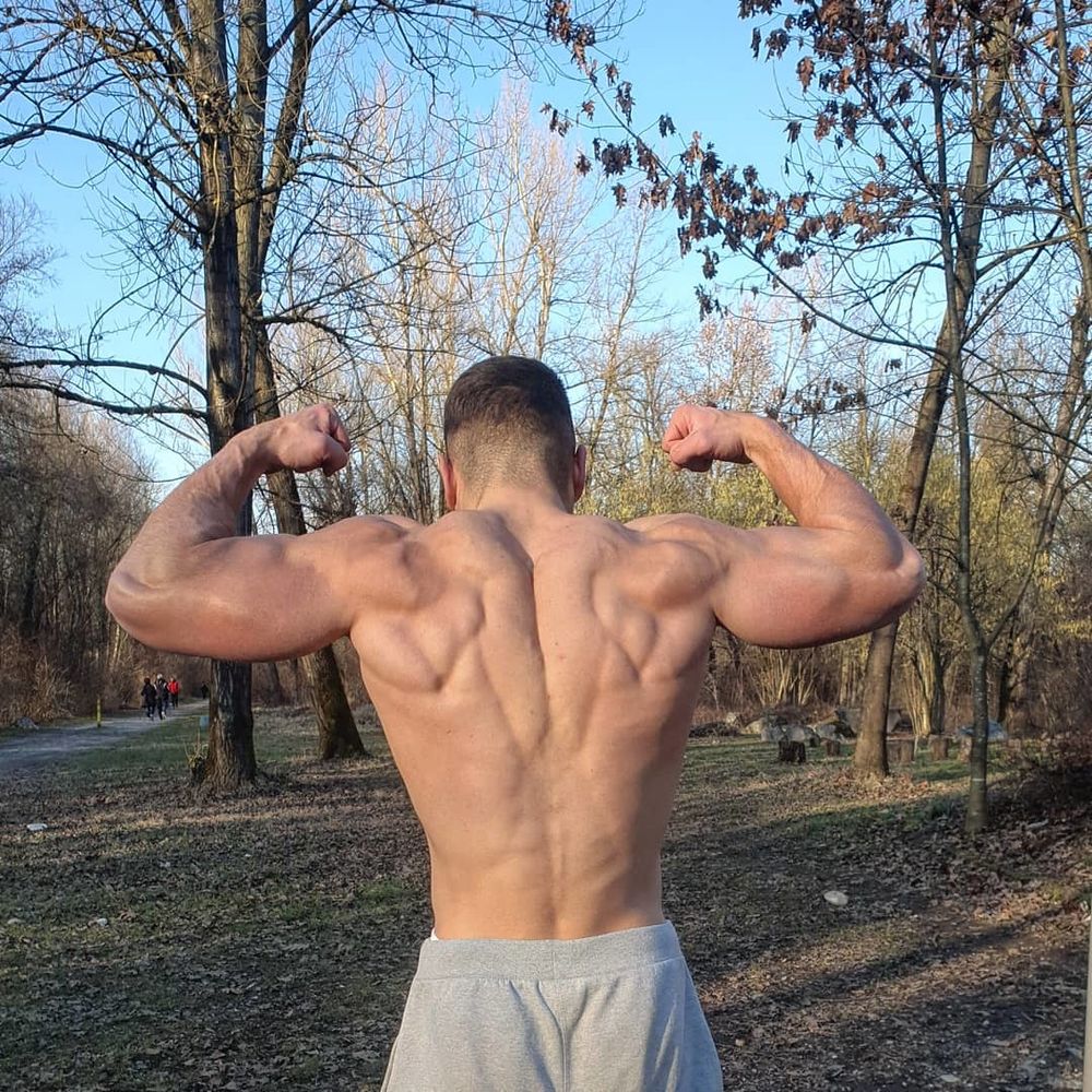 bushiy OnlyFans profile picture