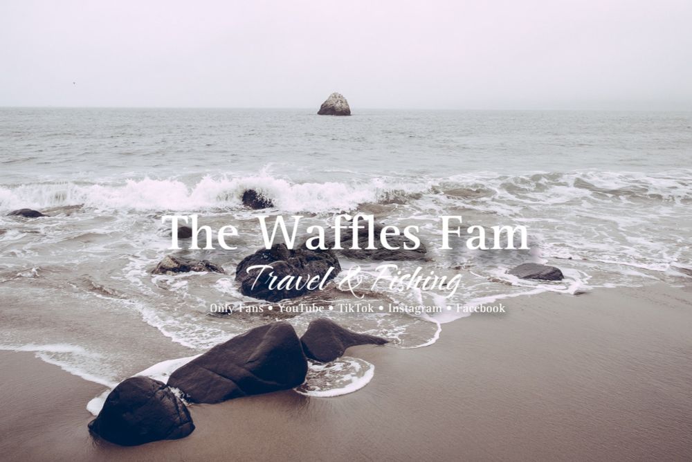 thewafflesfam OnlyFans profile picture