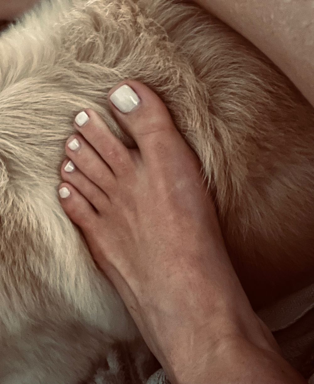txtootsies OnlyFans profile picture
