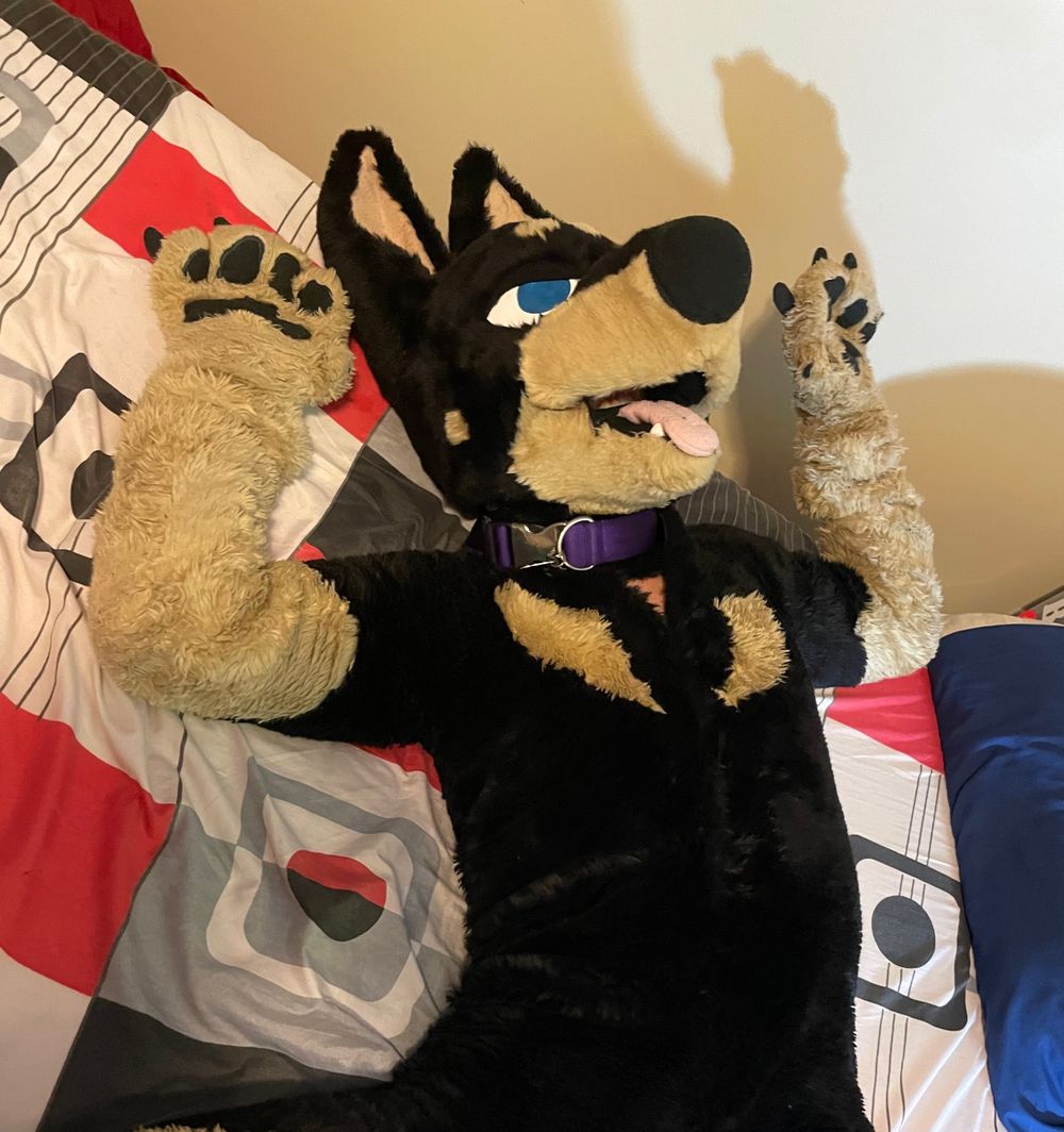 murrsuit OnlyFans profile picture
