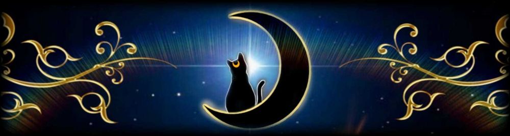 catmoon_ll69 OnlyFans profile picture