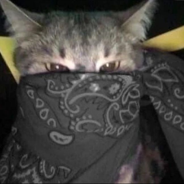 ozjjdsd OnlyFans profile picture
