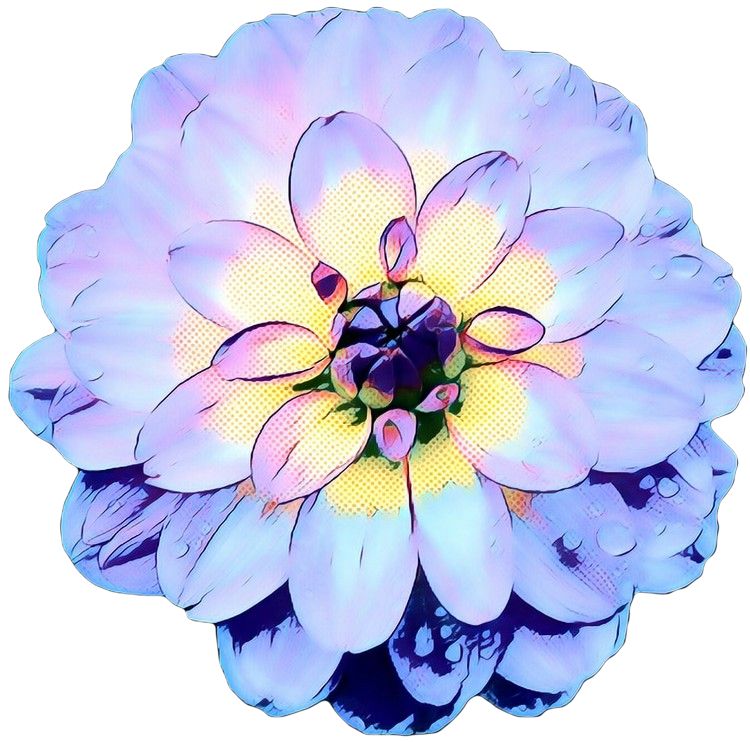 disgraceddahlia OnlyFans profile picture