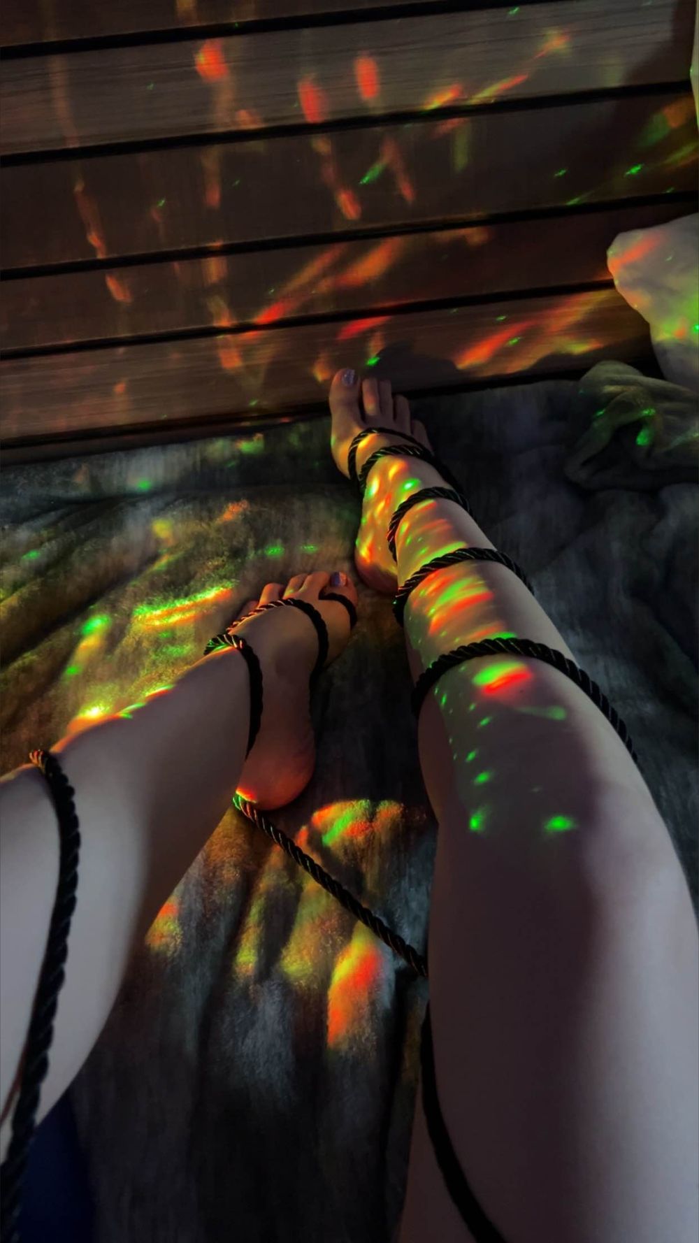 phillipa_feet OnlyFans profile picture