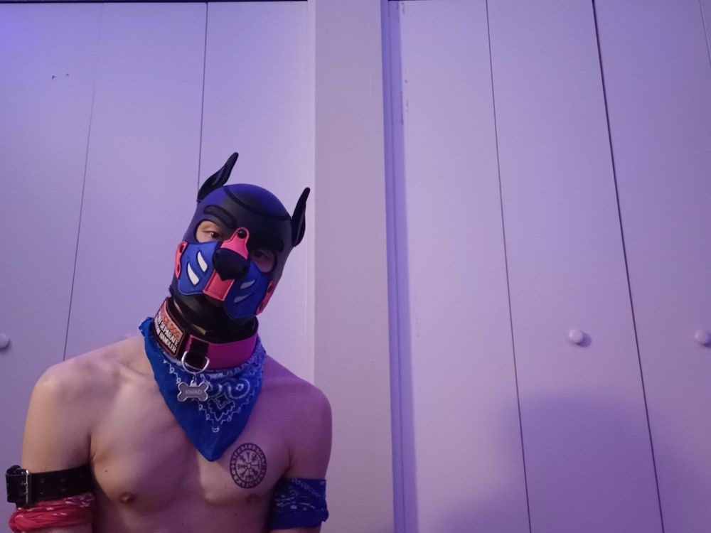 pupkwad OnlyFans profile picture