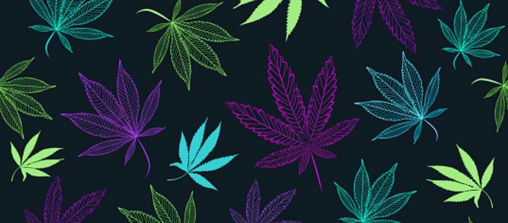 kyliekannabis OnlyFans profile picture