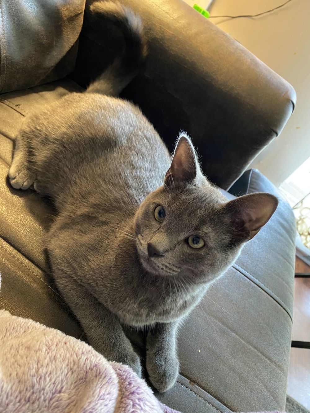 kittiesandtitties173 OnlyFans profile picture