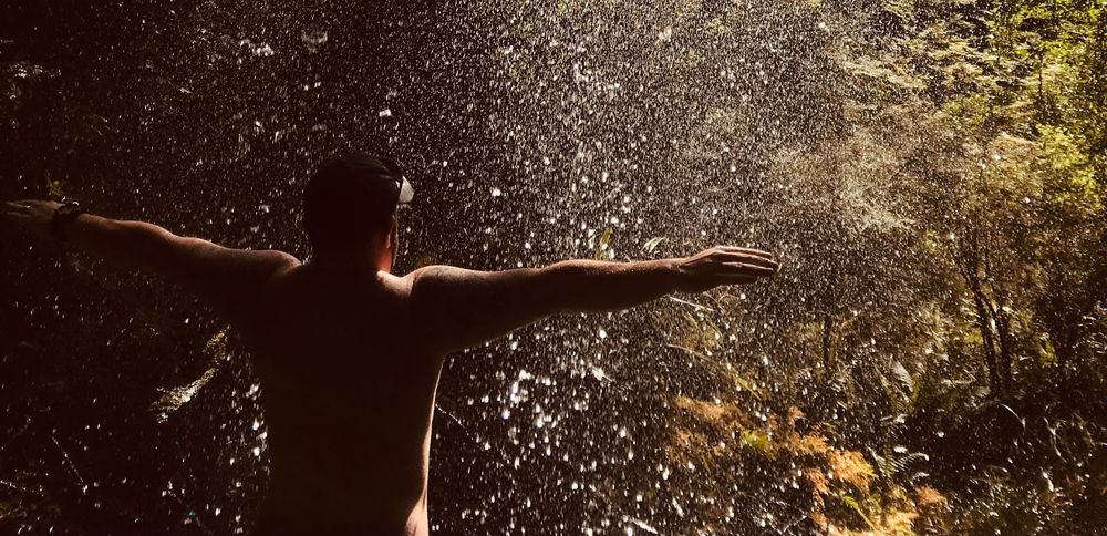 ftmbear1 OnlyFans profile picture