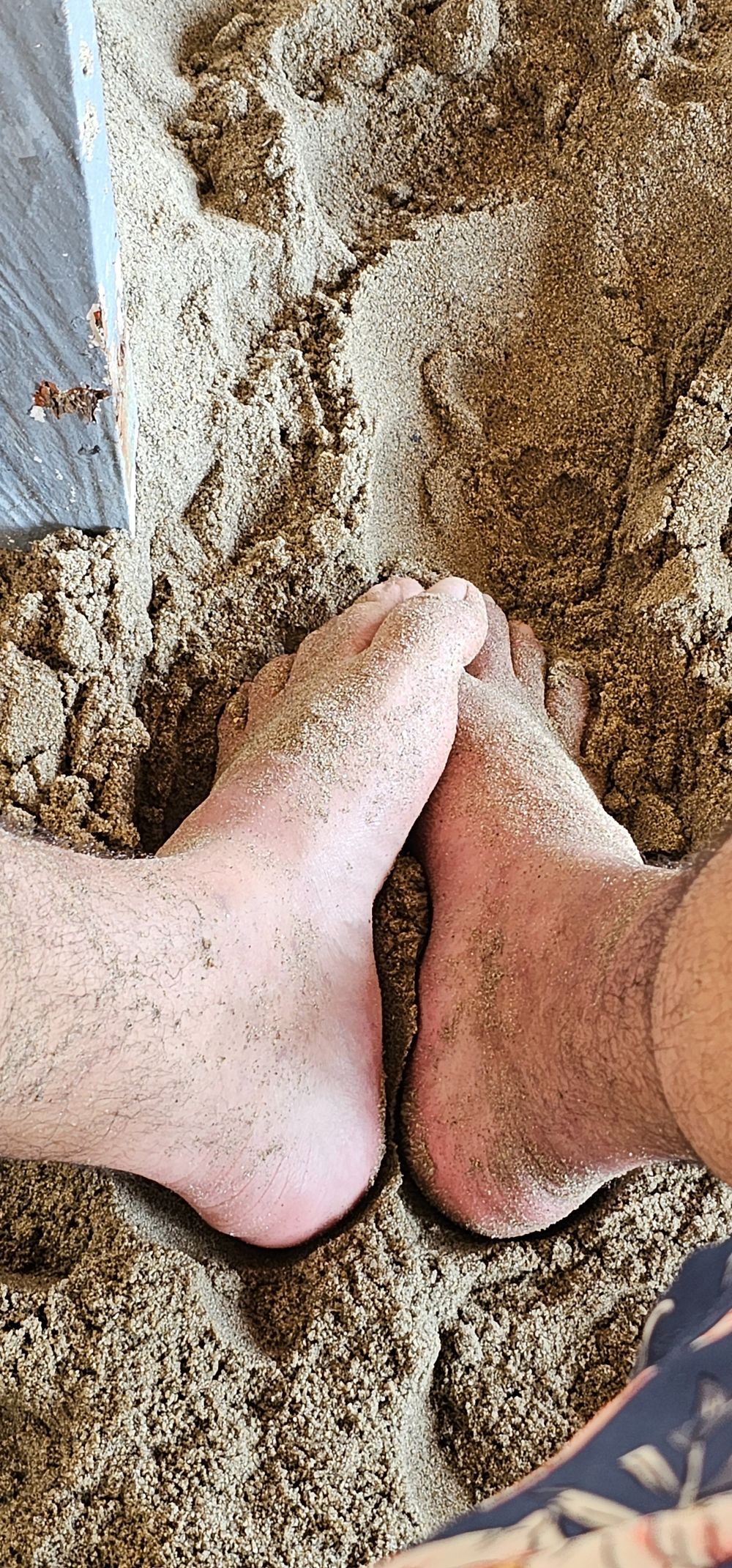 gdzambrano OnlyFans profile picture