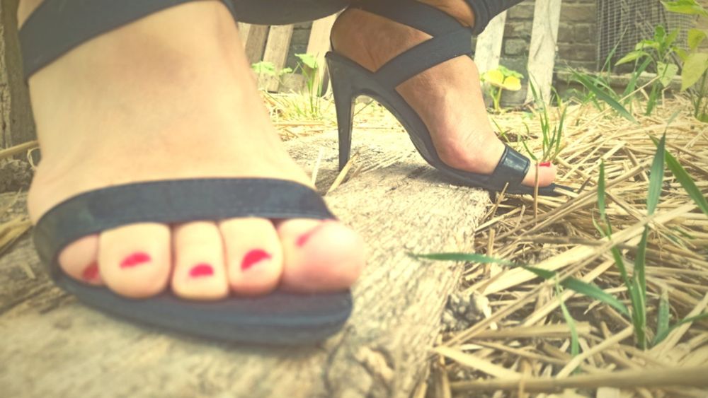 noemi.elena.feet OnlyFans profile picture