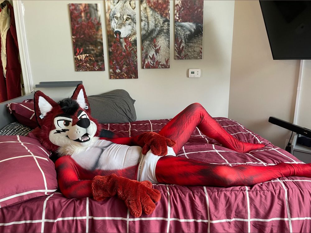 wolf_ezo OnlyFans profile picture