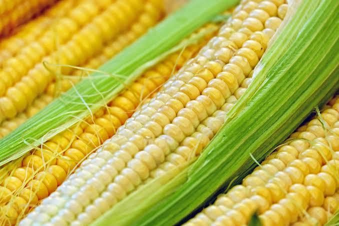 idontevenlikecorn OnlyFans profile picture
