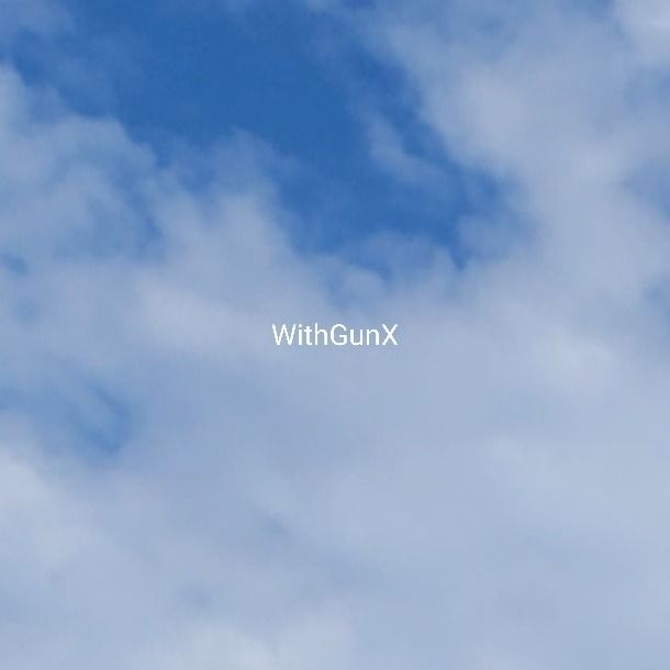 withgunx OnlyFans profile picture