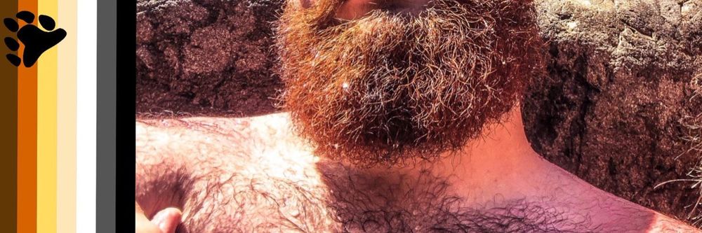 beardybeef OnlyFans profile picture