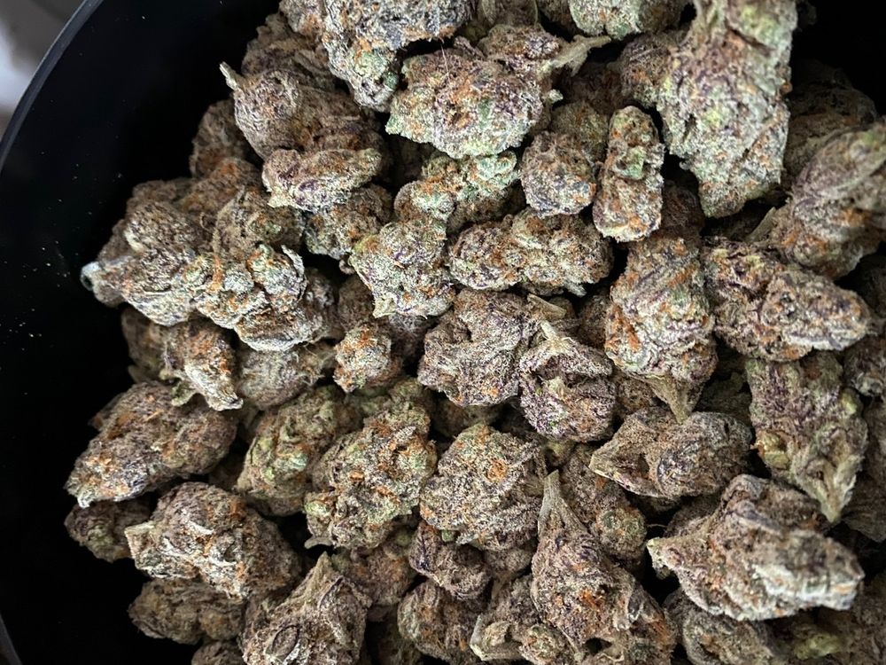 bigut420review OnlyFans profile picture