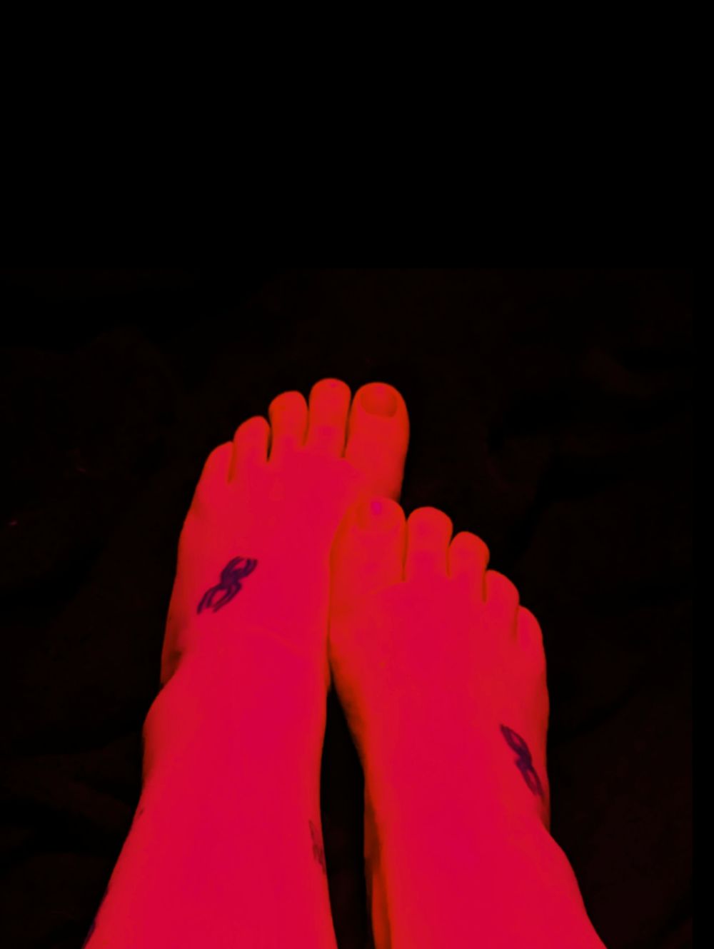 feetfiles.domina OnlyFans profile picture