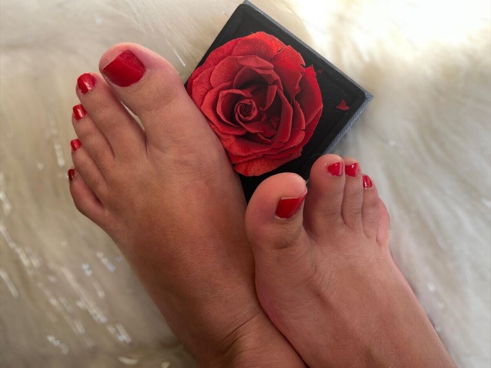 allison.94 OnlyFans profile picture