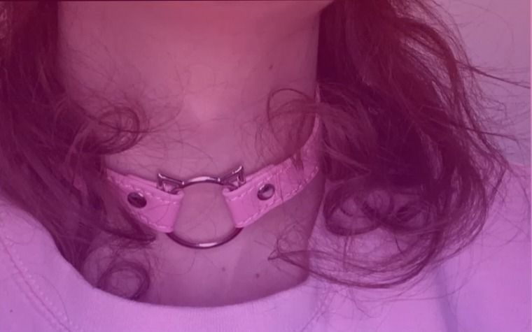 veronicaox OnlyFans profile picture