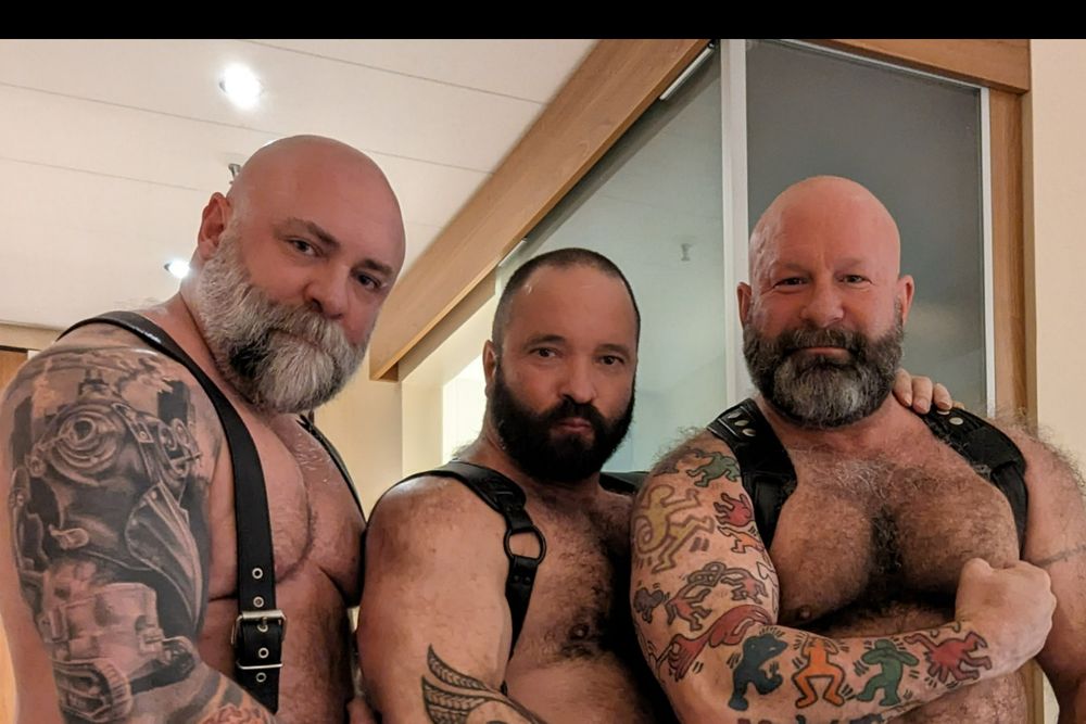 triadbearschi OnlyFans profile picture