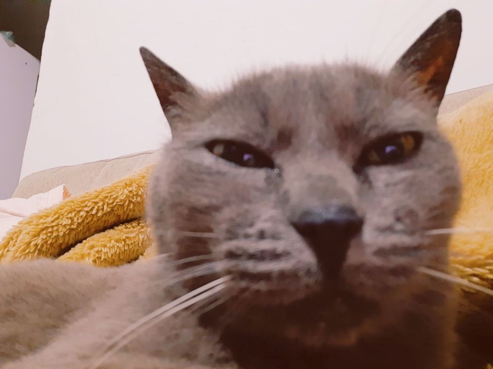thepedrosa OnlyFans profile picture