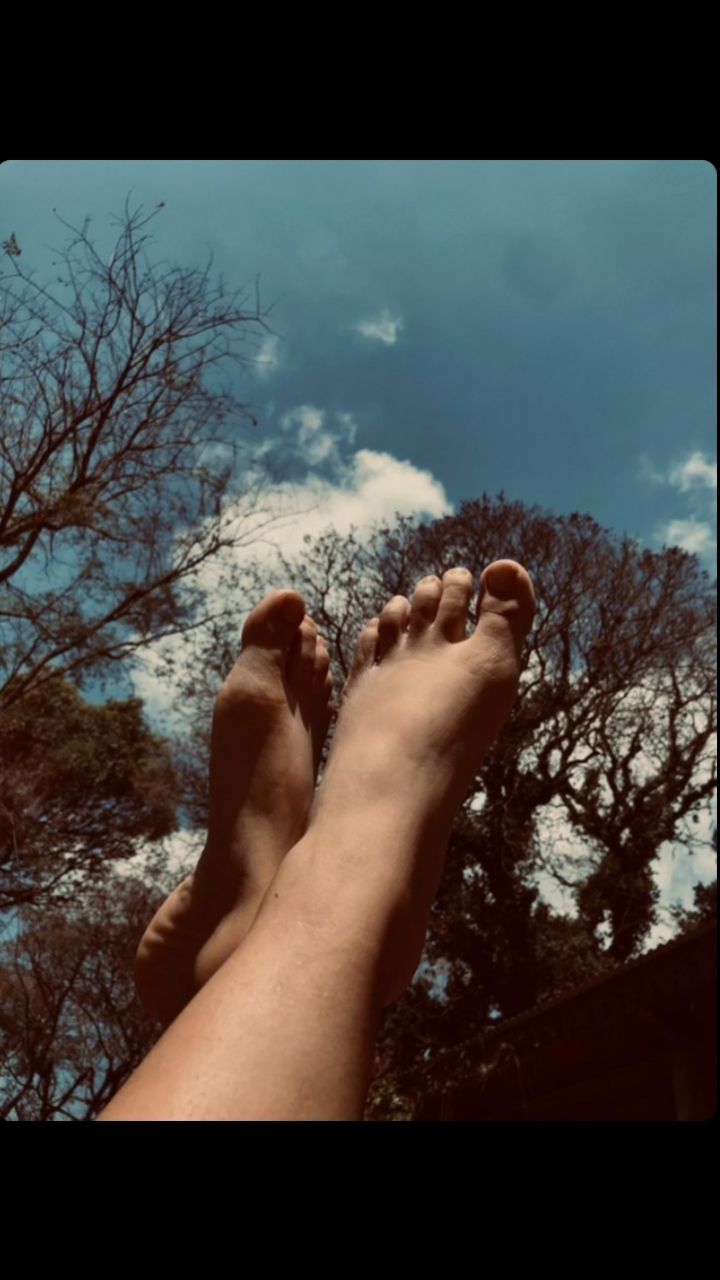anipies02 OnlyFans profile picture