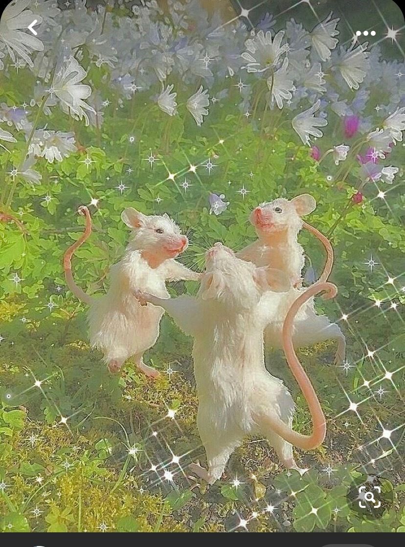 k1nda OnlyFans profile picture