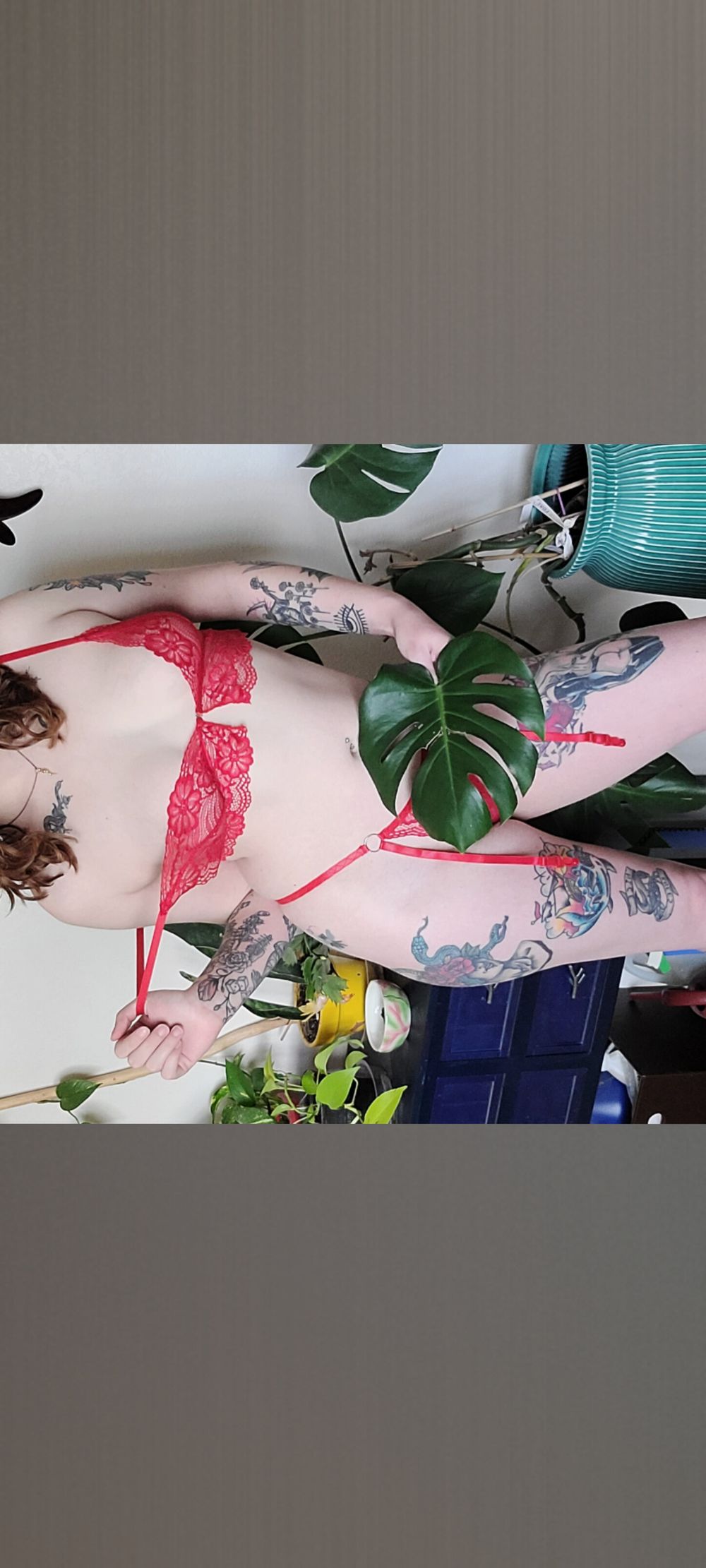 avadxll OnlyFans profile picture