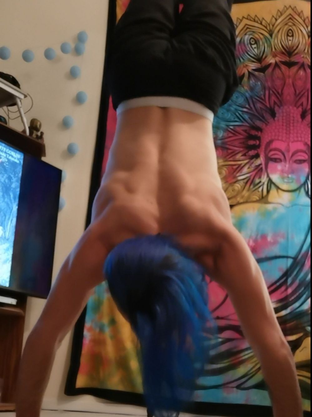 happyhippiehaze OnlyFans profile picture