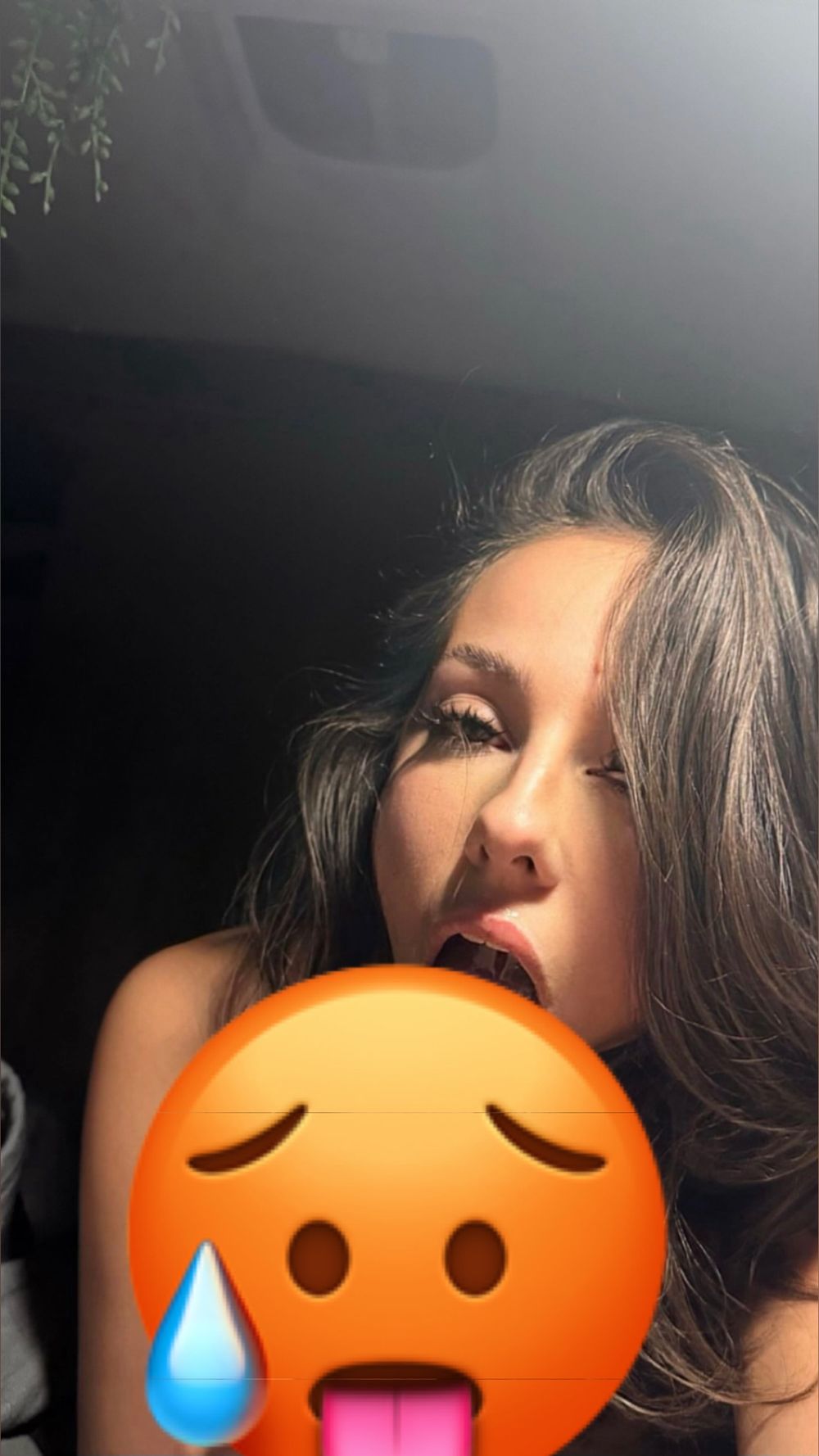 neighborsnextdoor1 OnlyFans profile picture