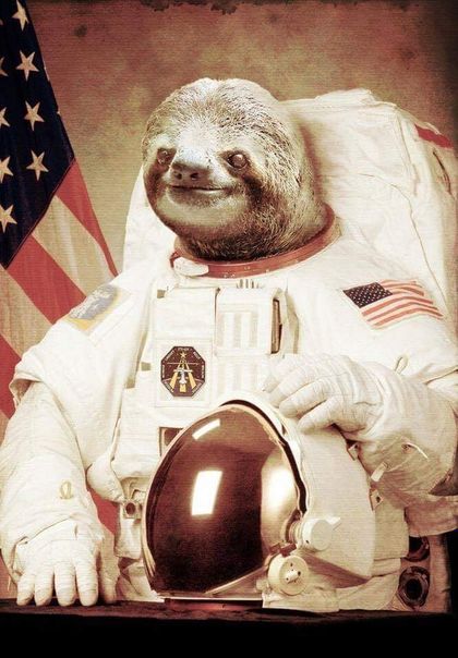 spacesloth OnlyFans picture