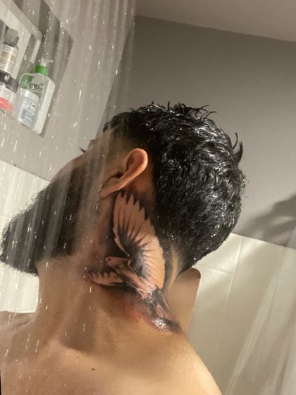 edzbencomo OnlyFans picture