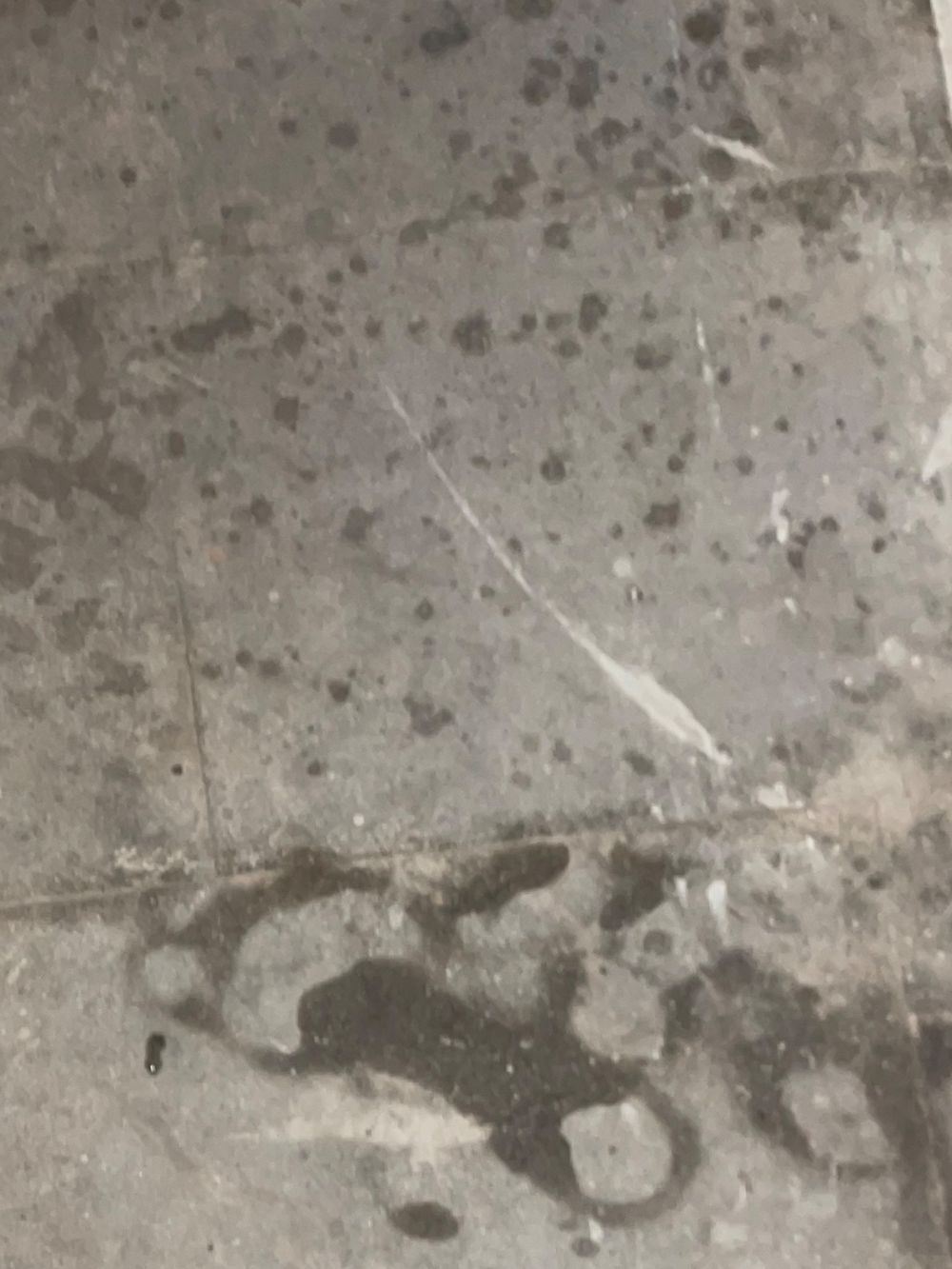 marcgomsex OnlyFans profile picture