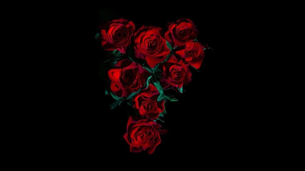 u95956513 OnlyFans profile picture